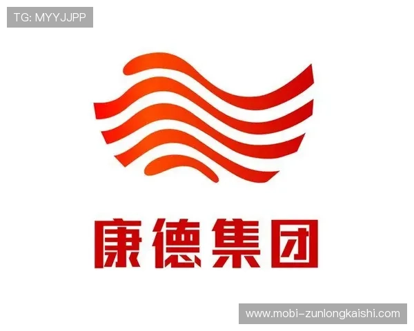 尊龙网址集团官网查询流程详解确保用户安全顺利访问官方网站